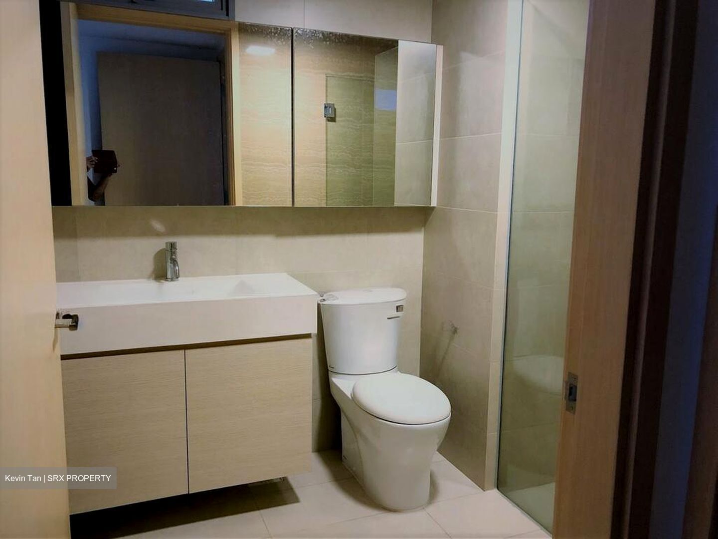 A Treasure Trove (D19), Condominium #514826931